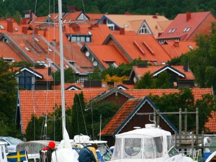 Marių burių regata 2008