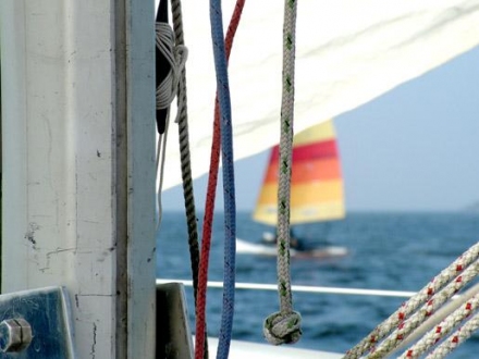 Paršelio regata 2007