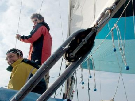 Paršelio regata 2007