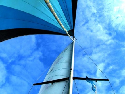 Paršelio regata 2007