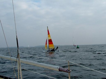 Paršelio regata 2007