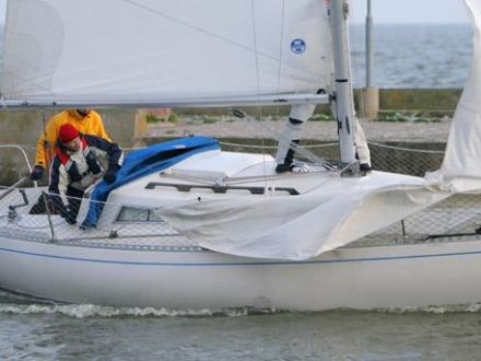 Paršelio regata 2008