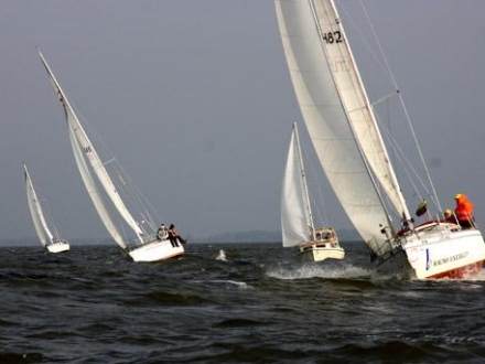 Paršelio regata 2008