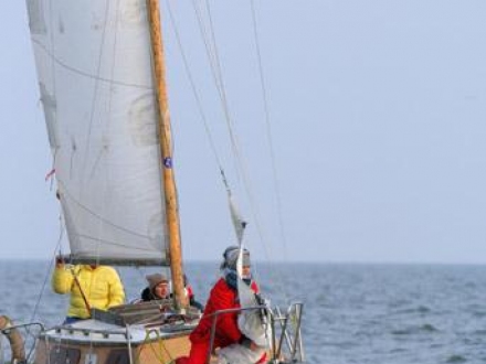Paršelio regata 2008