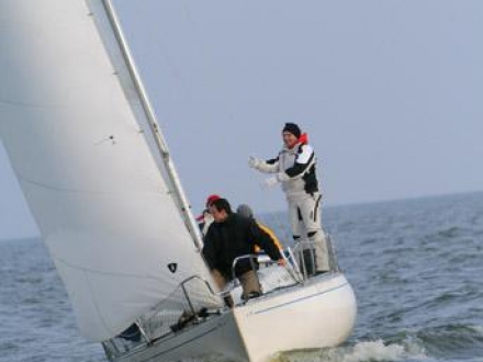 Paršelio regata 2008