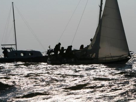 Paršelio regata 2008