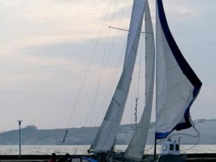 Paršelio regata 2008