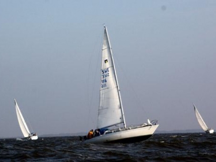 Paršelio regata 2008