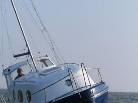Paršelio regata 2008