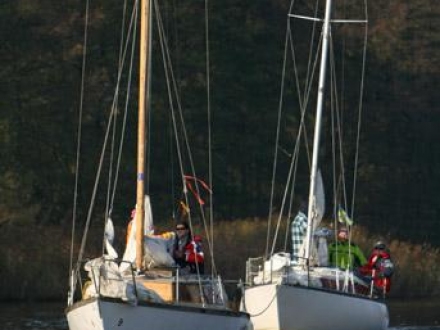 Paršelio regata 2008