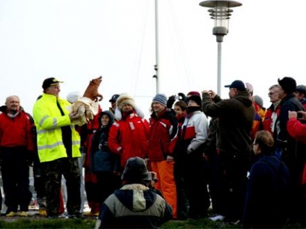 Paršelio regata 2008