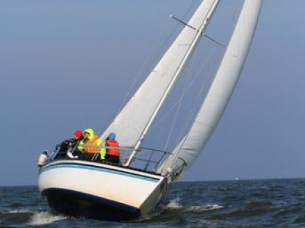 Paršelio regata 2008