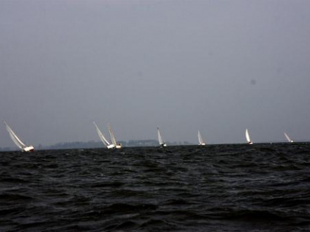 Paršelio regata 2008