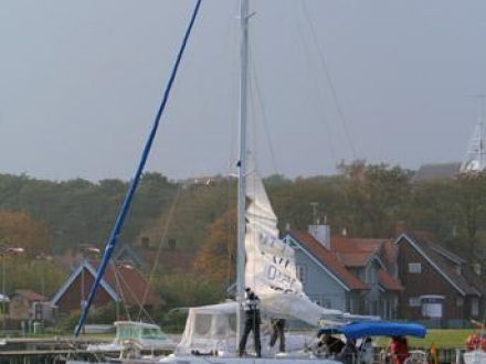 Paršelio regata 2008