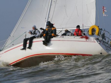 Paršelio regata 2008