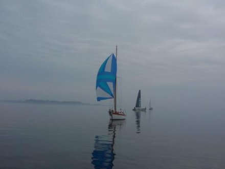 Paršelio regata 2014