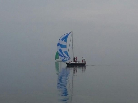Paršelio regata 2014