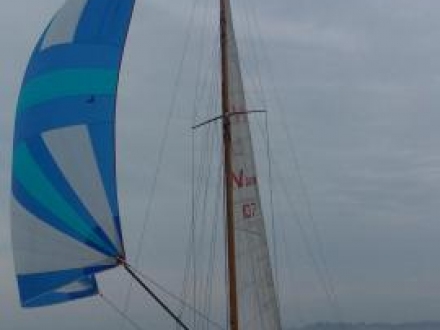 Paršelio regata 2014