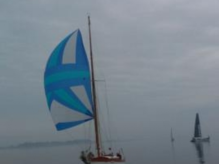 Paršelio regata 2014