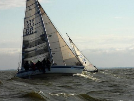XI Parselio regata 2009