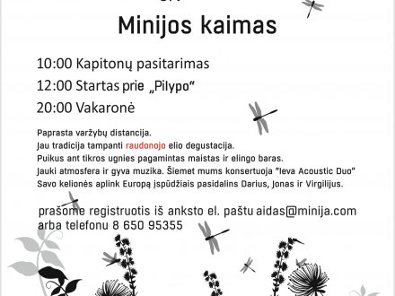 Rugpjūčio 17 d. “ Žolinių regata”