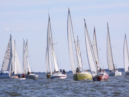 Renginių kalendorius 2019