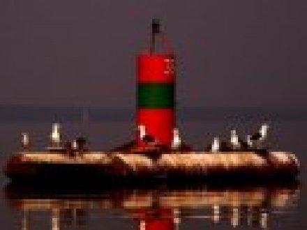 Pirmoji sezono regata vakarų Lietuvoje - "Pilypo taurės" regata.