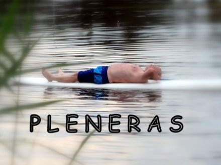 Tradicinis V-asis  dailininkų pleneras „Mingė – Lietuvos Venecija“